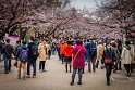 06 Tokyo, ueno park